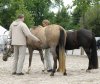 Yaala wird noch einmal begutachtet